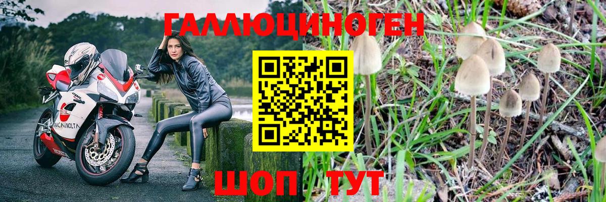 Псилоцибиновые грибы прущие грибы Десногорск